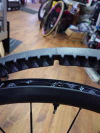 Tannus Tubeless LITE（仮称？）使ってみた