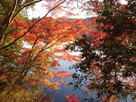 club-pk 紅葉ライド 行ってきた